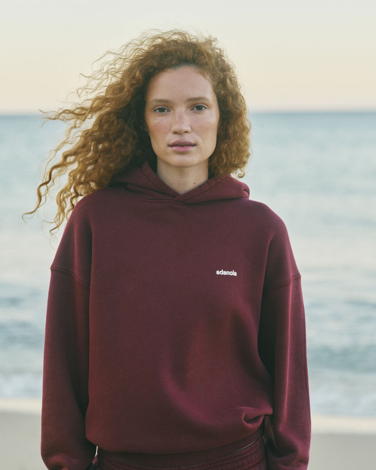 Vintage Relaxed Hoodie - Damson Red